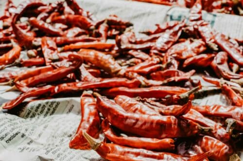 Jak zavařit chilli papričky